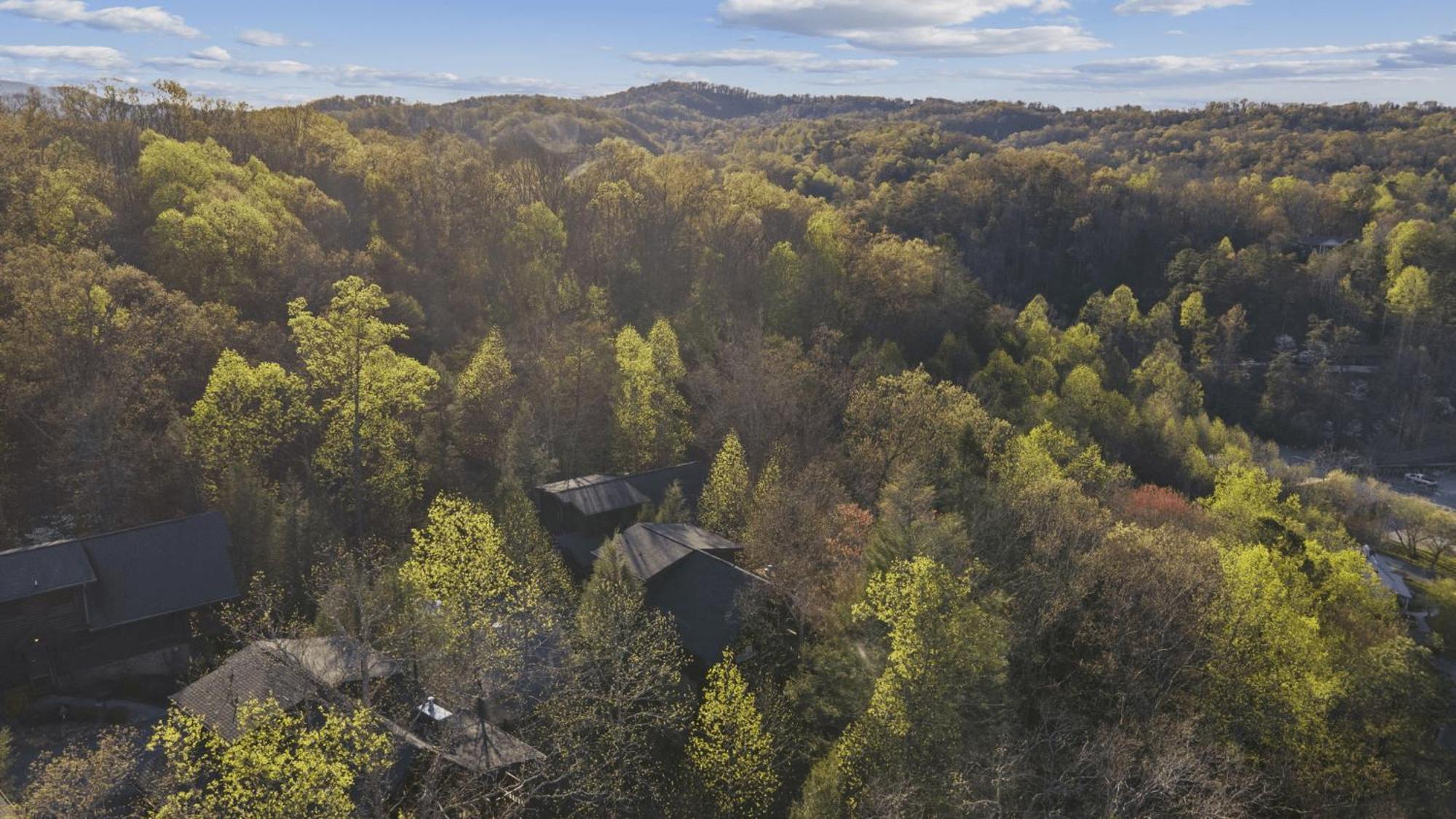 Stunning Mountain Cabin W Hot Tub ガトリンバーグ エクステリア 写真