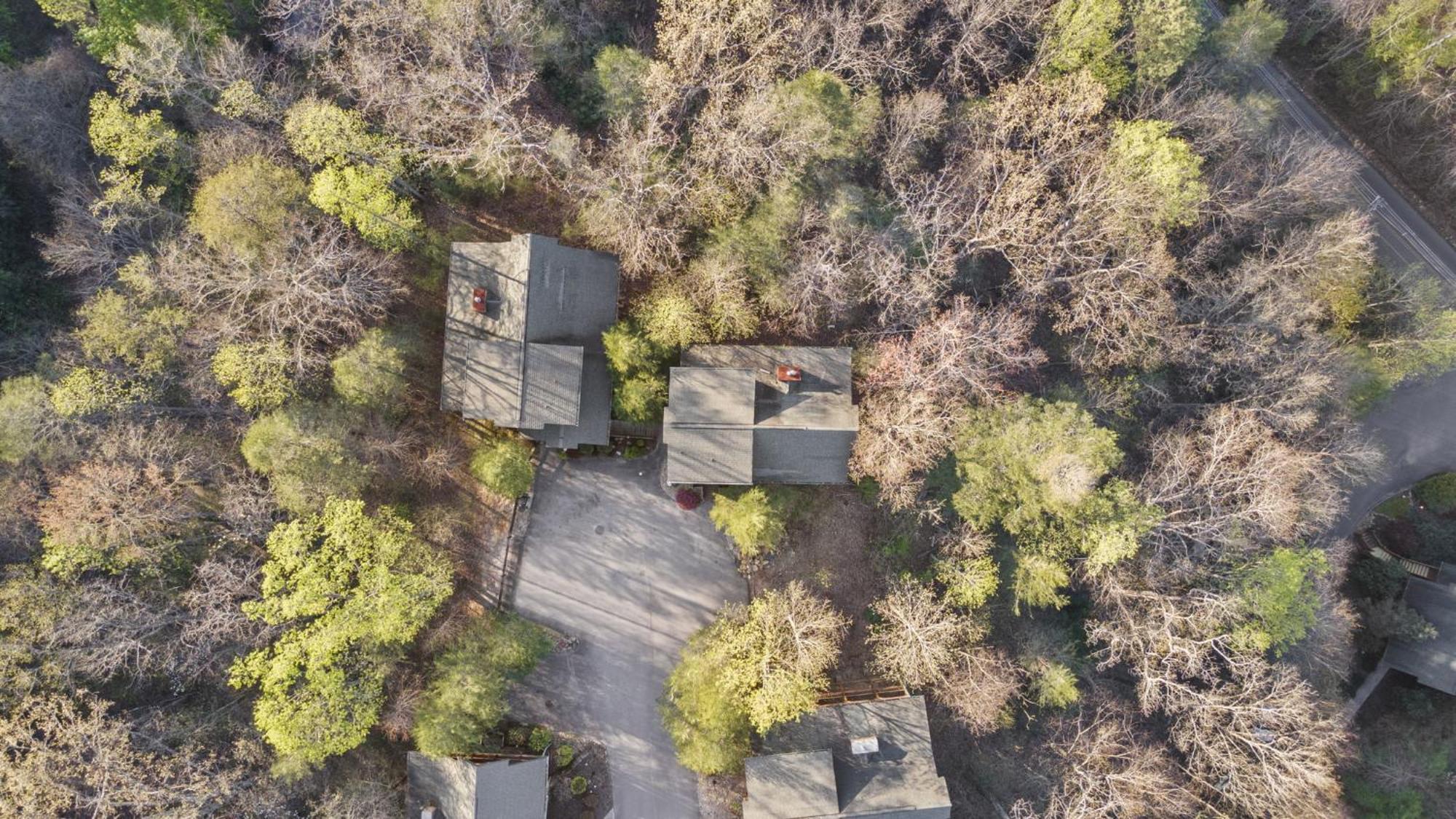 Stunning Mountain Cabin W Hot Tub ガトリンバーグ エクステリア 写真